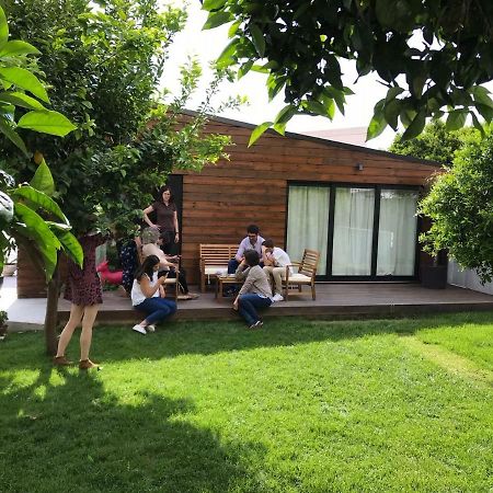 Casa Do Muro Коимбра Экстерьер фото